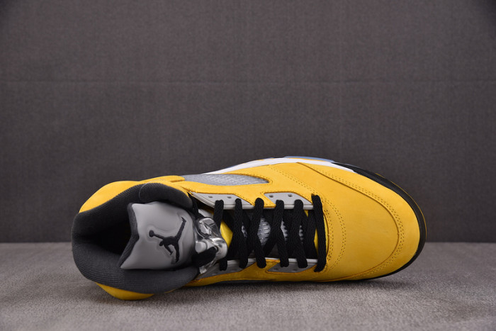 Jordan 5 Retro Tokyo T23 (2025) IO3372-700