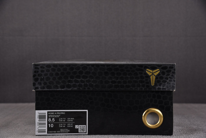 Nike Kobe 6 Protro "Dodgers" CW2190-400