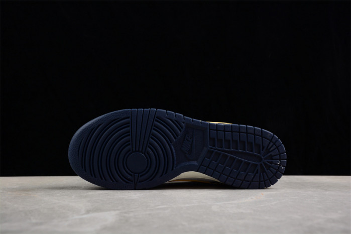 nike dunk low "from nike to you" fv8106-181