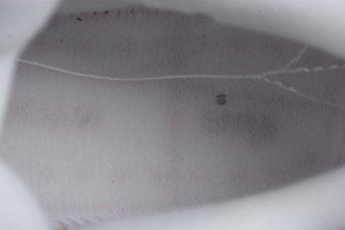 air jordan 4 canvas wmns dq4909-100